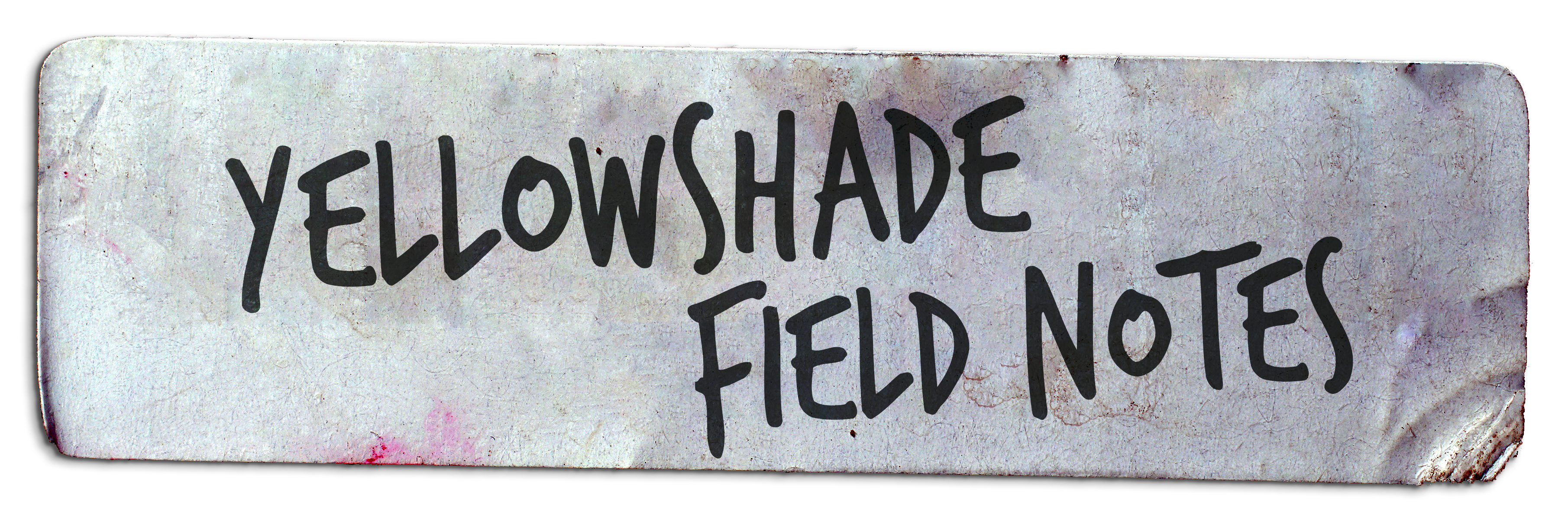 Yellowshade Field Notes
